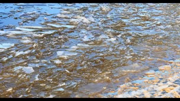 Floating ice by the river , winter landscape — Stock Video