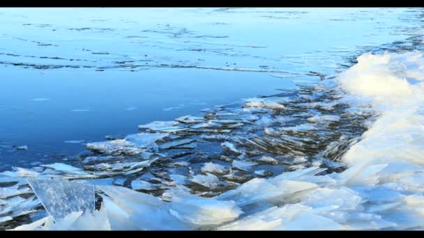 Ghiaccio galleggiante lungo il fiume, paesaggio invernale — Video Stock