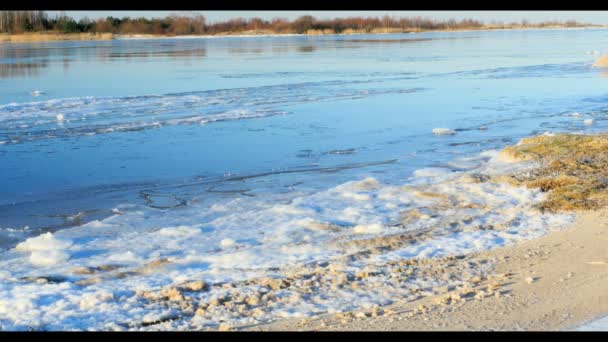 Ghiaccio galleggiante lungo il fiume, paesaggio invernale — Video Stock