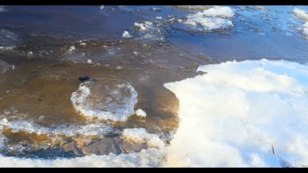 Zwevende ijs door de rivier, winterlandschap — Stockvideo