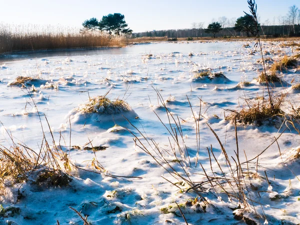Schöne Aussicht auf gefrorene Wüstendünen im Winter — Stockfoto