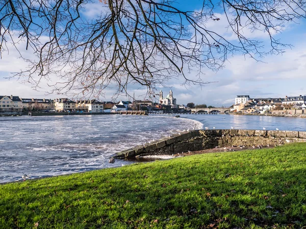 Gabbiani sul fiume, diga di Athlone sullo sfondo — Foto Stock