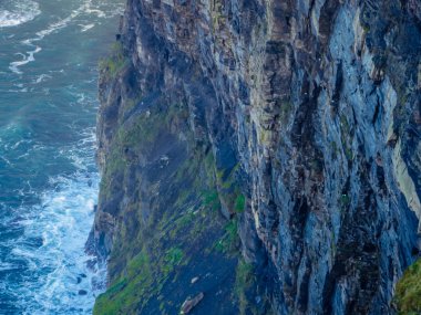County Clare 'deki Moher Kayalıkları