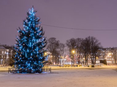 Gece Noel ağacında Riga