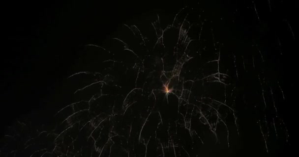 Θολή νεράιδα φώτα από πυροτεχνήματα φόντο. — Αρχείο Βίντεο