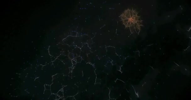 Luzes de fadas borradas de fundo fogos de artifício . — Vídeo de Stock