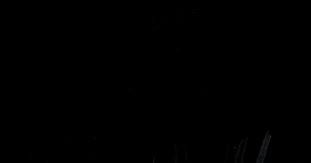 花火の背景からぼやけフェアリー ライト. — ストック動画