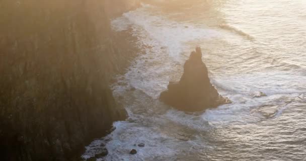 アイルランドのクレア州の母親の崖 — ストック動画