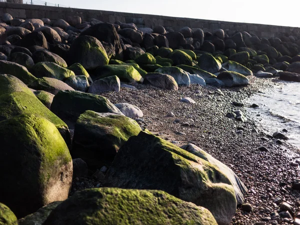 Bech und Stein in der Nähe des Ozeans — Stockfoto