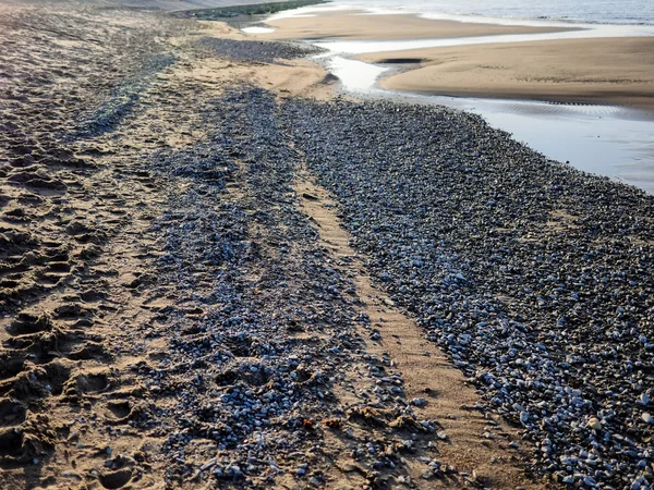 Bech und Stein in der Nähe des Ozeans — Stockfoto