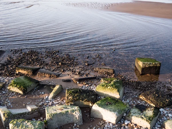 Bech und Stein in der Nähe des Ozeans — Stockfoto