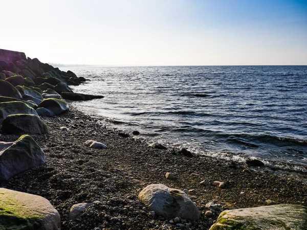 Bech und Stein in der Nähe des Ozeans — Stockfoto