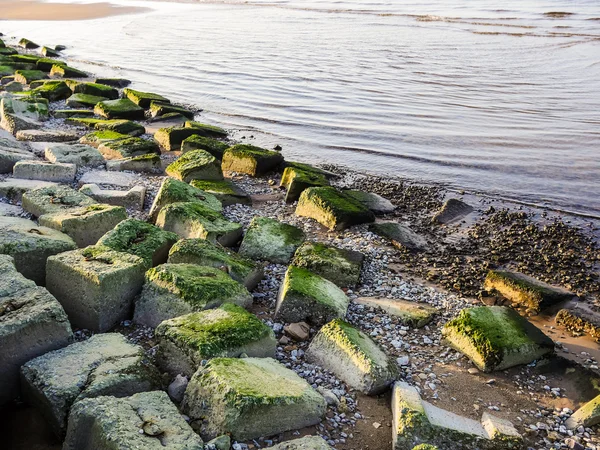 Bech und Stein in der Nähe des Ozeans — Stockfoto