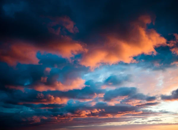 Pôr do sol na costa do Golfo de Riga — Fotografia de Stock