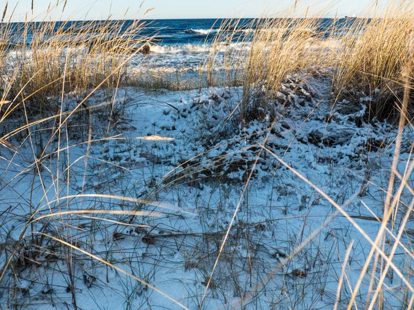 Zimowy krajobraz w plaży nad Morzem Bałtyckim — Zdjęcie stockowe
