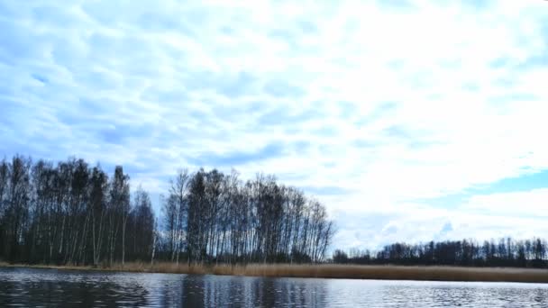 Edge of the forest near the river in early spring — Stock Video