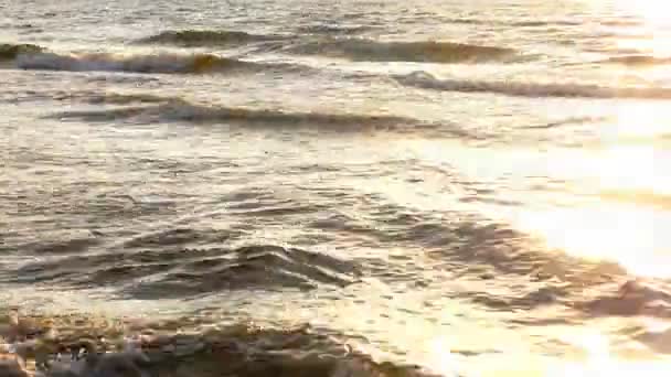 Beach scene with sun beams in the horizon — Stock Video