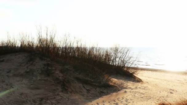 Beach scene with sun beams in the horizon — Stock Video