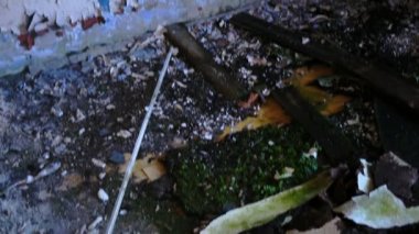 Eski terk edilmiş bir fabrikanın kalıntıları.