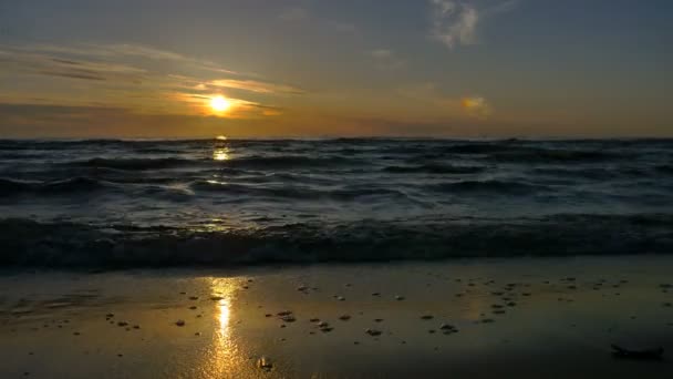 Baltic sea beach sunset timelapse — Stock Video