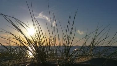 Sunny beach kumulları ve mavi gökyüzü ile