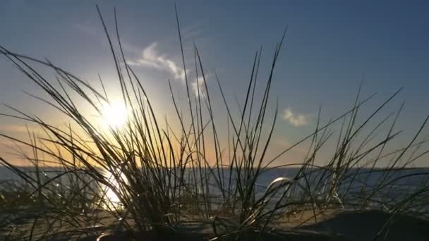 Zonnige strand met zandduinen en blauwe hemel — Stockvideo