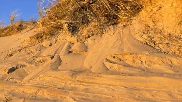 Praia dunas de areia closeup contra o céu — Vídeo de Stock