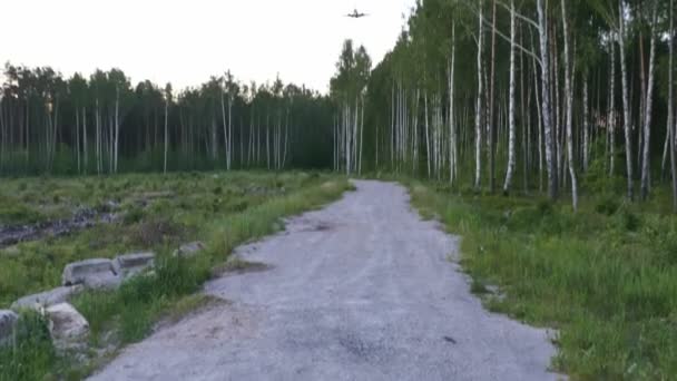 Landning passagerarplan på kvällen — Stockvideo