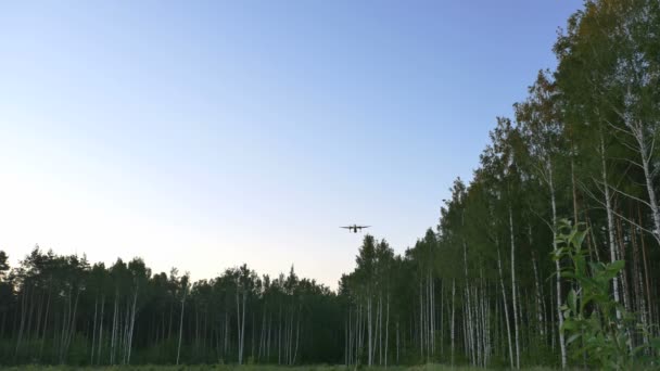 Landing passenger plane in evening — Stock Video