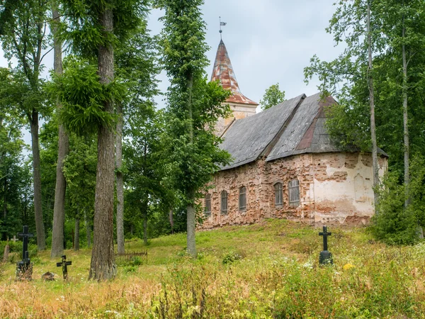 Eski, eski terk edilmiş kilisede yaz, orman 