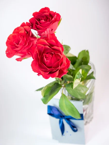 Three dark red roses isolated on white background — Stock Photo, Image