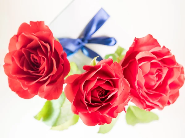 Three dark red roses isolated on white background — Stock Photo, Image