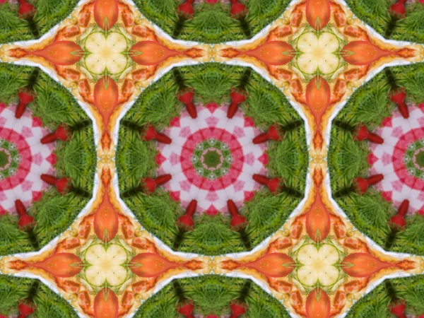 Colorful seamless mandala design — Stock Photo, Image