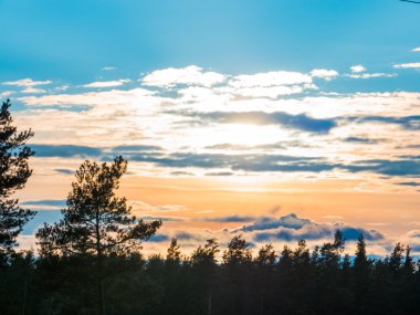 Güzel sonbahar ormanı gün batımında