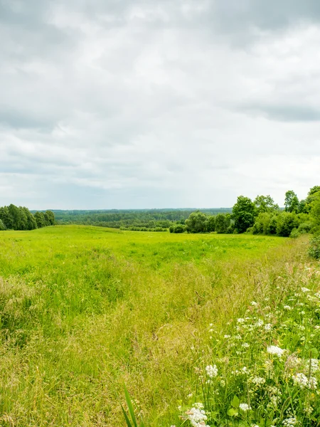 Campo d'erba e cielo perfetto in estate Foto Stock