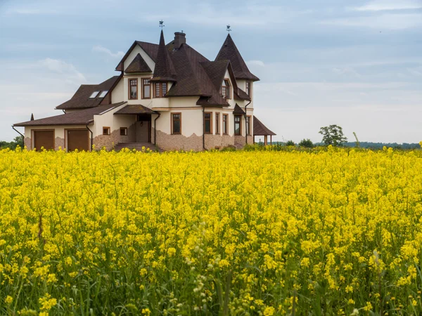 Fied of yellow flowers with cotage house Stock Picture
