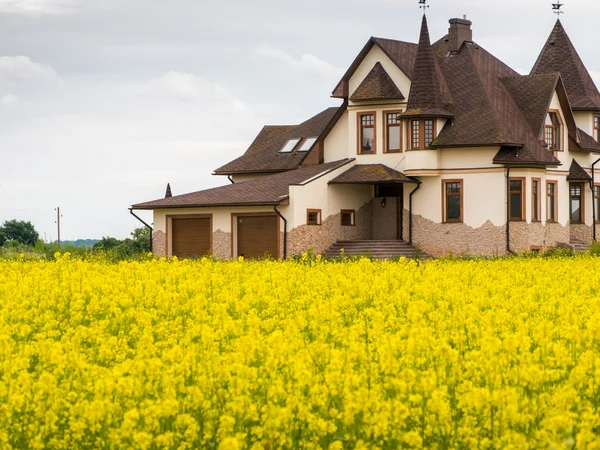 Fied of yellow flowers with cotage house Stock Photo