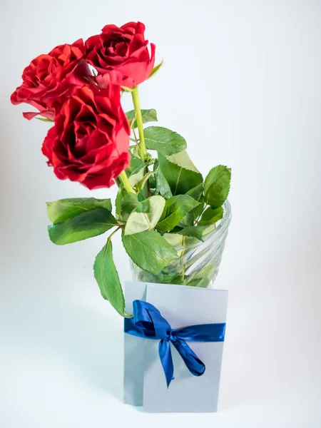 Three dark red roses isolated on white background — Stock Photo, Image