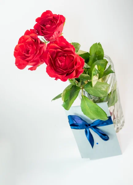 Three dark red roses isolated on white background — Stock Photo, Image