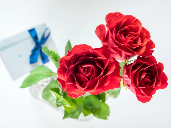 Three dark red roses isolated on white background — Stock Photo, Image