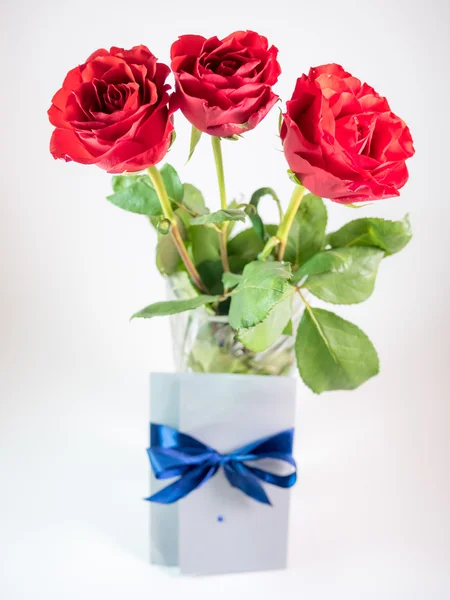 Three dark red roses isolated on white background — Stock Photo, Image