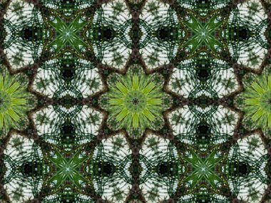 Yeşil soyut kaleydoskop arka plan