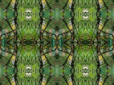 Yeşil soyut kaleydoskop arka plan