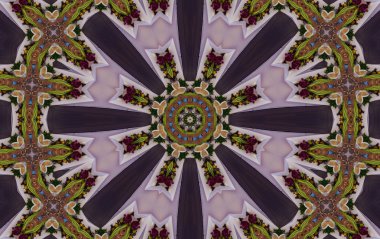 Peygamber Çiçeği çiçek Merkezi mor Mandala