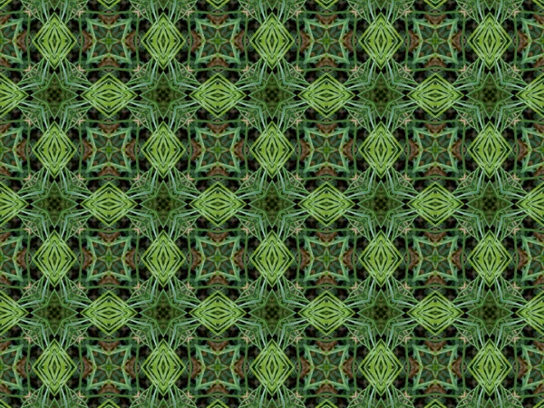 Fondo caleidoscopio abstracto verde —  Fotos de Stock