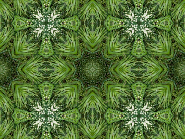 绿色抽象万花筒背景 — 图库照片