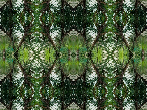 Fondo caleidoscopio abstracto verde —  Fotos de Stock