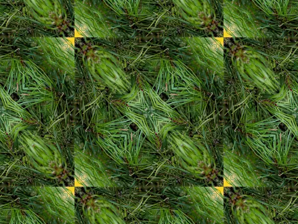 Grüne abstrakte Kaleidoskop Hintergrund — Stockfoto