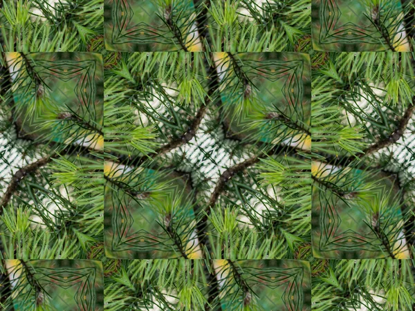Grön abstrakt Kalejdoskop bakgrund — Stockfoto