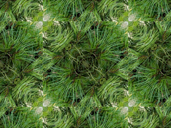 Fondo caleidoscopio abstracto verde —  Fotos de Stock